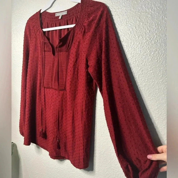☀️Danielrainn Long Sleeve Tassel Blouse - Picture 3 of 6